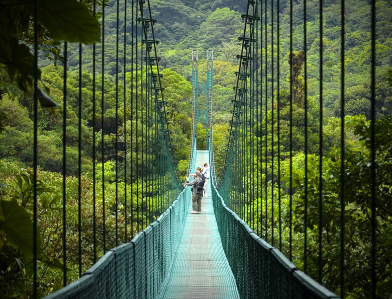 Jungle adventure into the famous Monteverde Cloud Forest Reserve