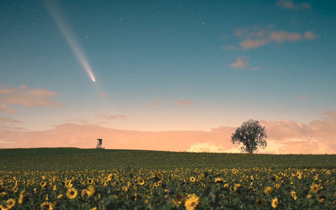 Using Lightroom to Restore Vibrant Colors in Night Photography