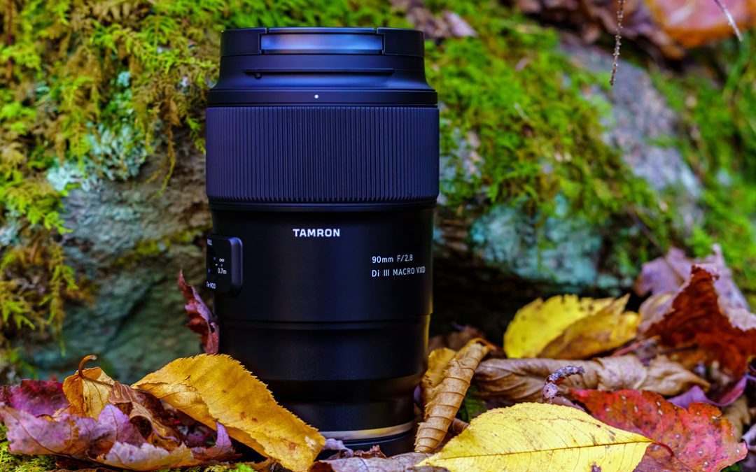 Macro Lovers, You’re Going to Want This Lens: We Tested the New Tamron 90mm f/2.8 Di III VXD