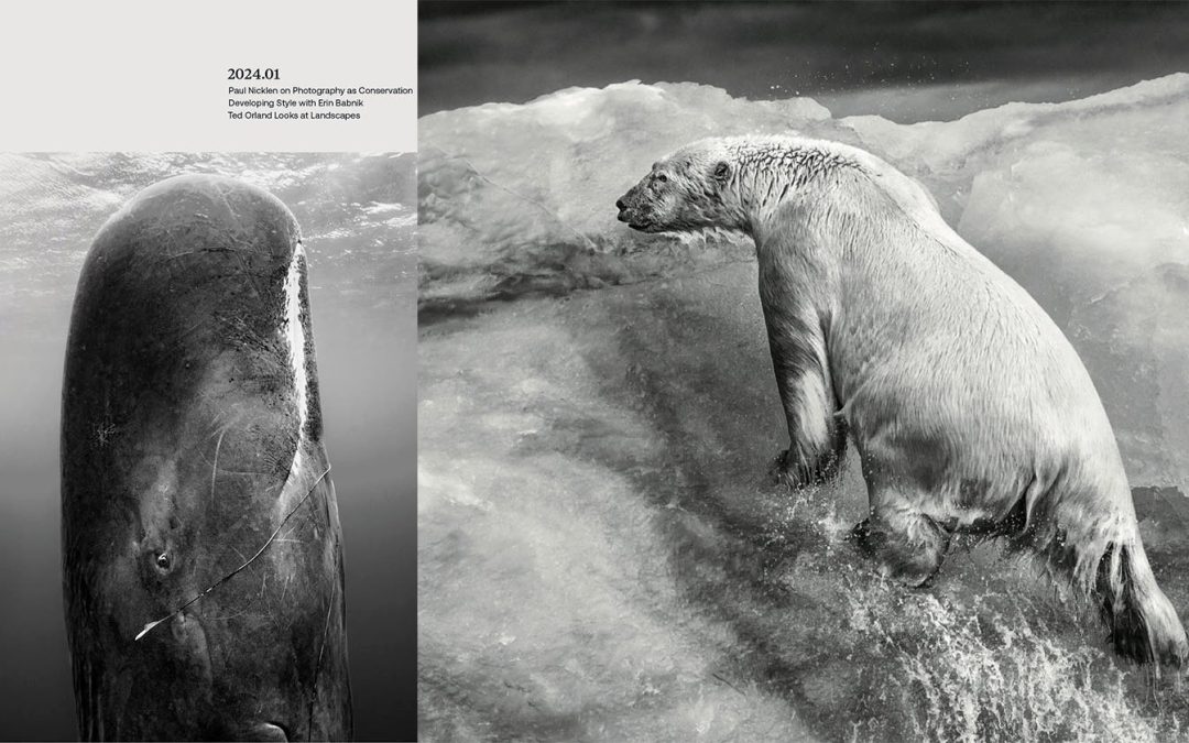 ‘Wild Eye’ Magazine’s Debut Issue Demonstrates Commitment to Conservation and Nature Photography