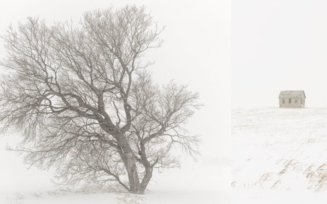 Photographer Captures Frozen Prairie Lands in Minus 30 Degrees